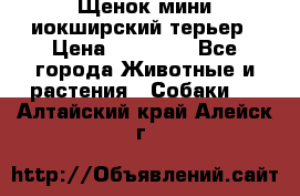 Щенок мини иокширский терьер › Цена ­ 10 000 - Все города Животные и растения » Собаки   . Алтайский край,Алейск г.